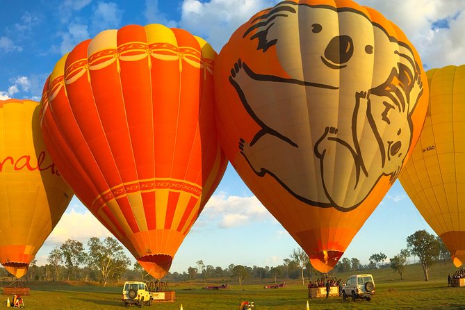 Hot Air Balloon Flight Brisbane With Vineyard Breakfast - Common questions