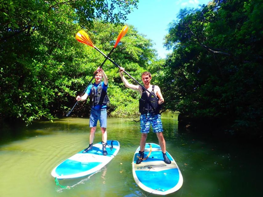 Ishigaki Island: 2-Hour Miyara River Kayaking Tour - Review Summary and Ratings