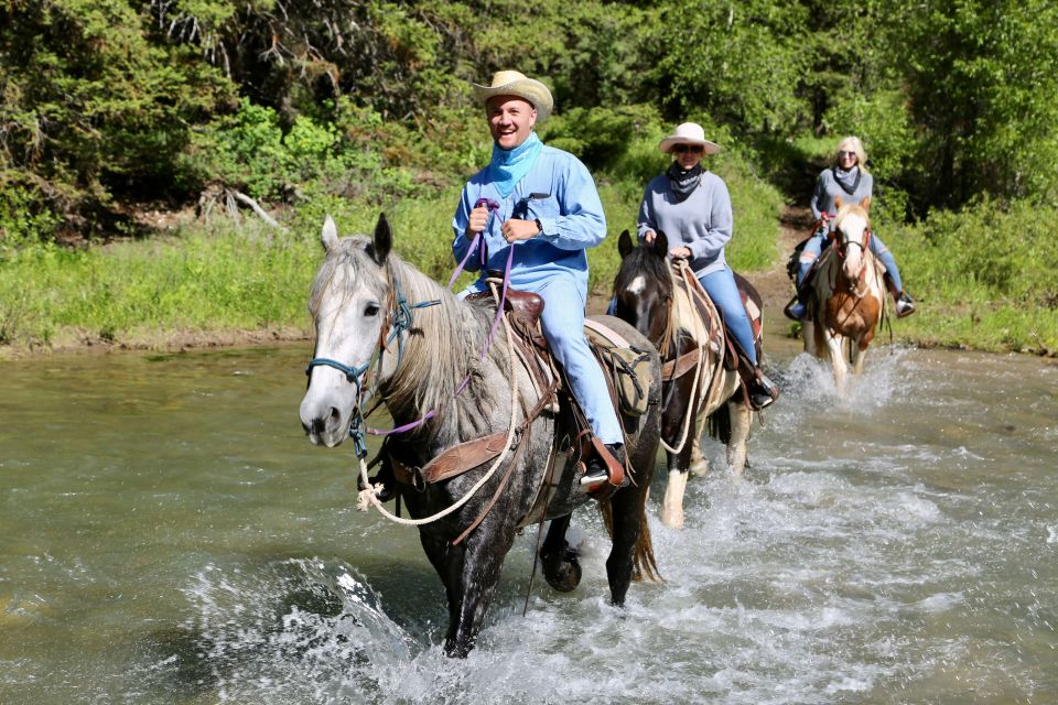 Jackson Signature 1/2 Day Ride Horseback Tour With Lunch - Activity Details