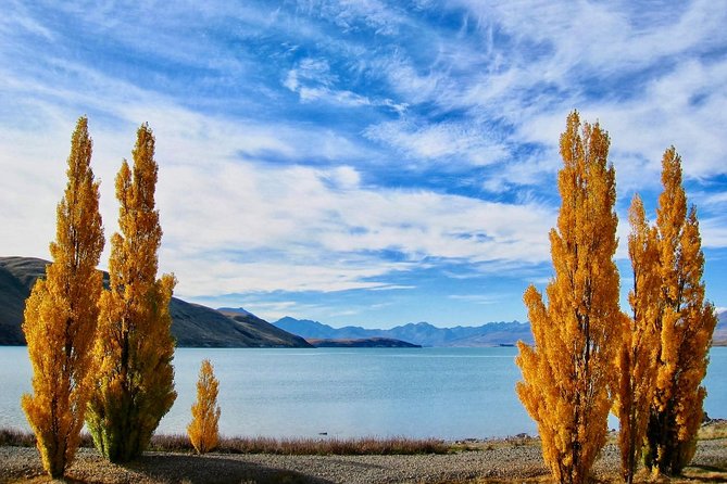 [Japanese Guide] Christchurch-Lake Tekapo Special Pick-up Plan - Refund Policy