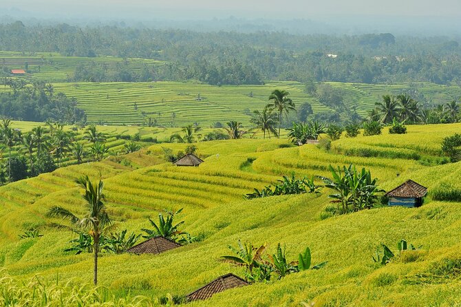 Jatiluwih Batukaru Mountain Natures Best Tour - Directions