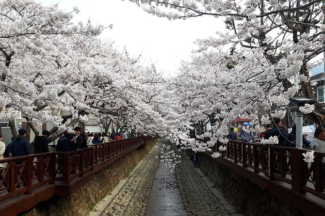 Jinhae Cherry Blossom and Busan Sunrise Tour From Seoul - Common questions