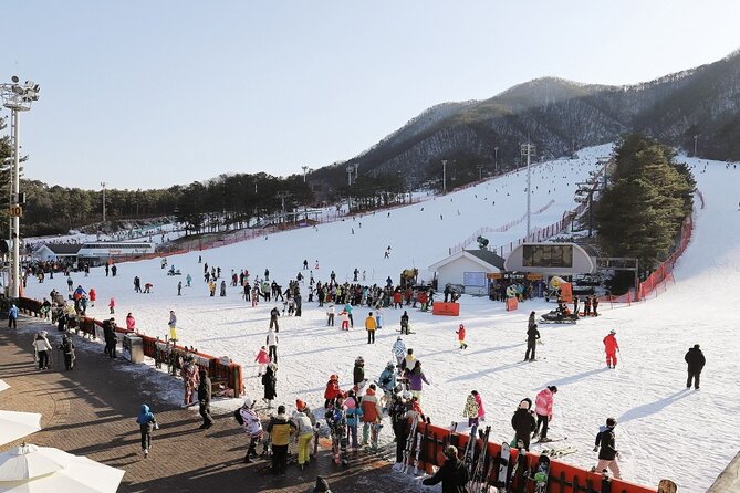 Jisan Forest Ski Resort One Day Tour With Basic Lesson - Common questions