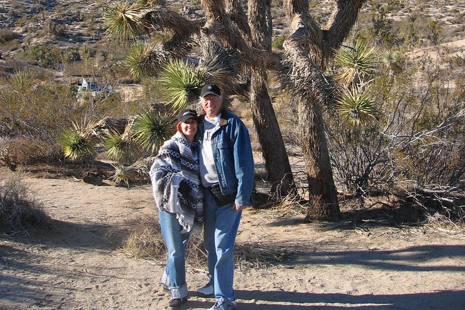 Joshua Tree National Park Scenic Tour - Directions