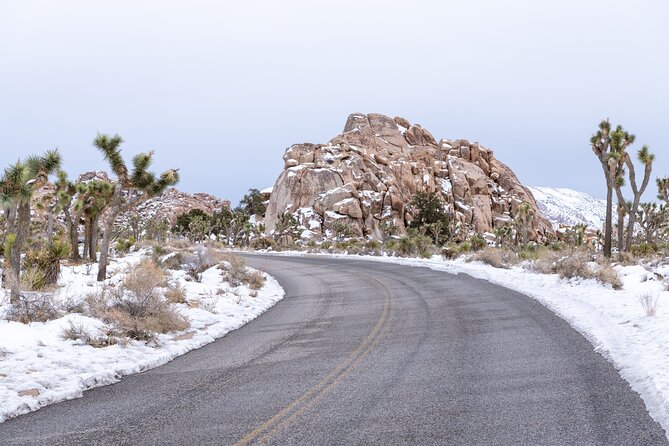 Joshua Tree National Park Self-Driving Audio Tour - Challenges Faced