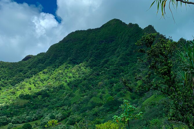 Jungle Expedition Tour at Kualoa Ranch - Communication Concerns