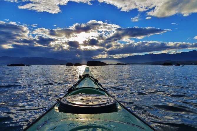 Kaikoura Day Tour With Kayak Experience From Christchurch - Common questions