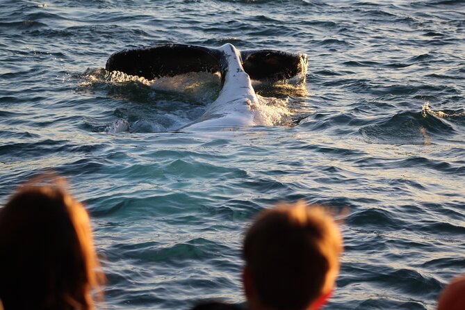 Kalbarri Whale Watching Tour - Safety Guidelines