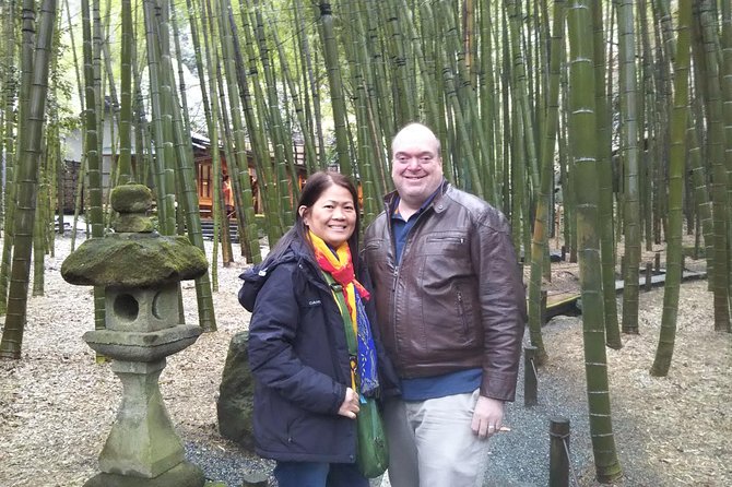 Kamakura Full Day Tour With Licensed Guide and Vehicle - Vehicle and Guide Information
