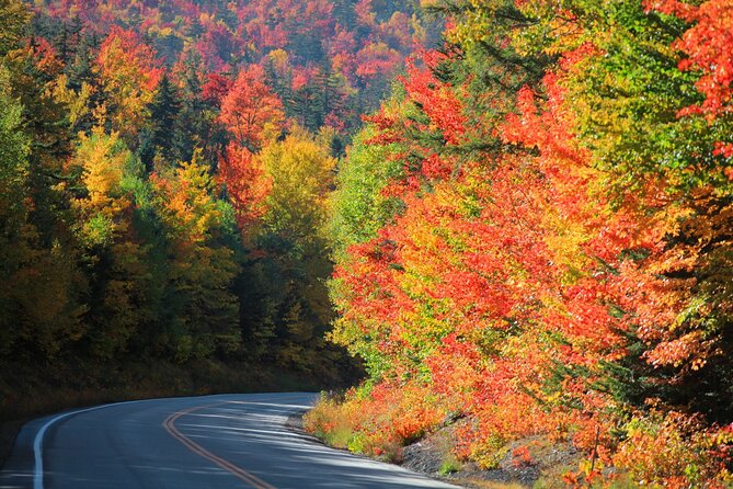 Kancamagus Scenic Byway Audio Driving Tour Guide - Customer Feedback and Experience