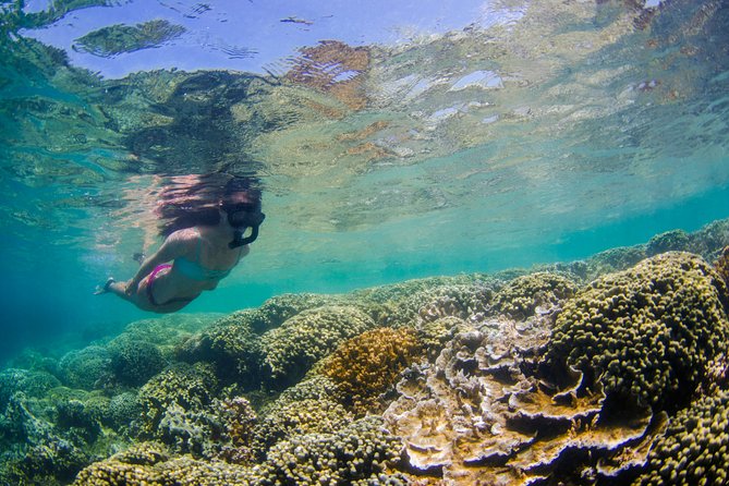 Kaneohe Bay Kayak Rental (Two-Person Kayak) - Tips for Kayaking in Kaneohe Bay