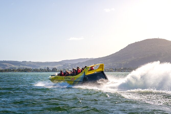 Katoa Jet Boat Tour on Lake Rotorua - Viator Assistance