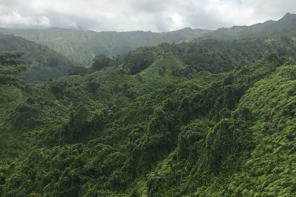 Kauai: Half-Day Kauaʻi Adventure - Adventure Location