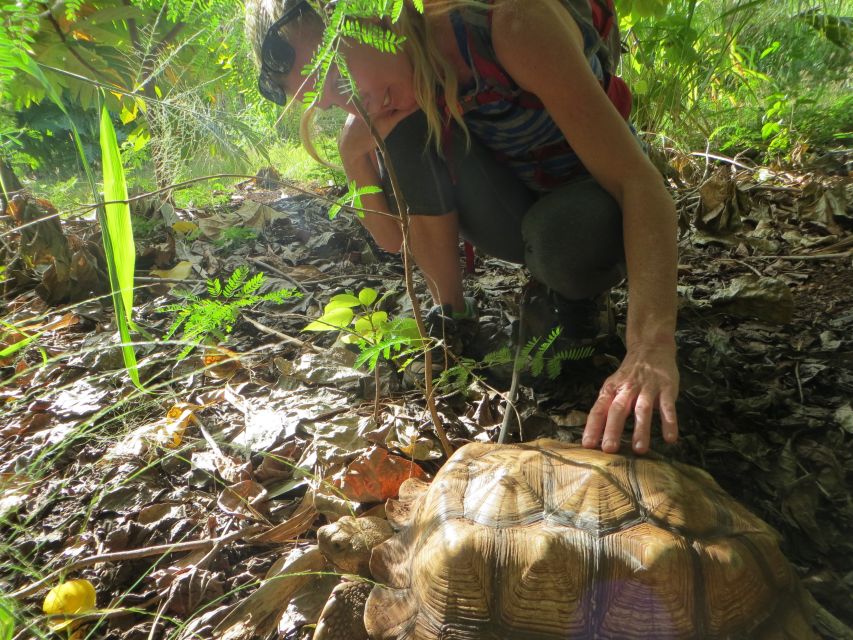 Kauai: Private Tortoises, Caves, and Cliffs South Shore Hike - Directions to Meeting Point