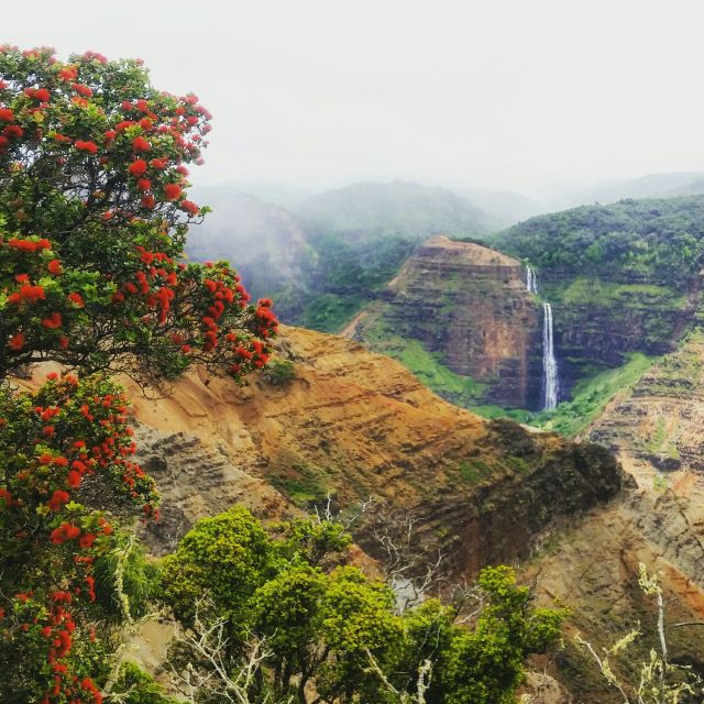 Kauai: Waimea Canyon & Kokeʻe State Park Private Tour - Common questions