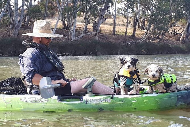 Kayak Self-Guided Tour on the Campaspe River Elmore, 30 Minutes From Bendigo - Sum Up