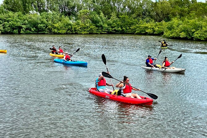 Kayaking Tour of Mangrove Tunnels in South Florida  - Fort Lauderdale - Common questions