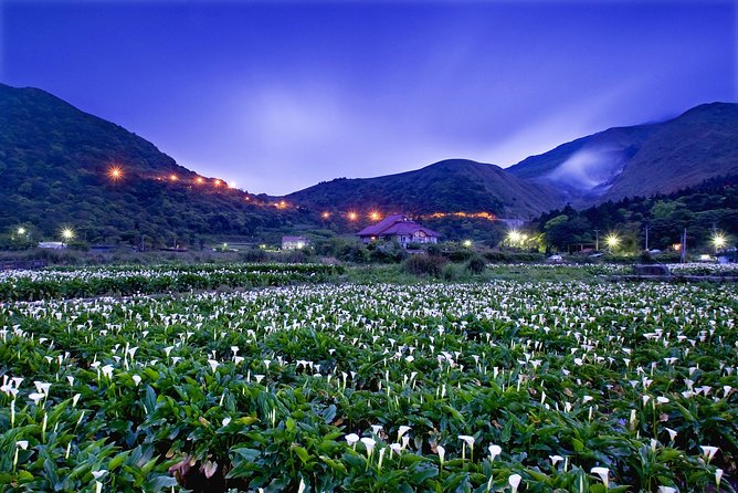 Keelung Shore Excursion: Yangmingshan Hot Spring and Wild Vegetable Cuisine Tour - Customer Reviews and Ratings