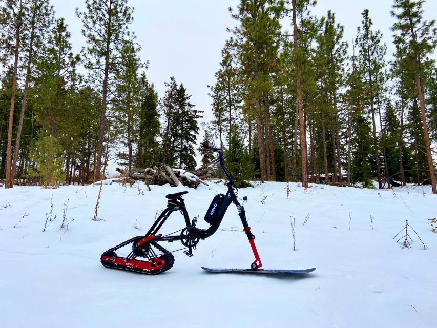 Kelowna: Snow E-Biking With Lunch, Wine Tastings & S'mores - Directions and Travel Tips