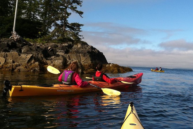 Ketchikan Kayak Eco-Tour - Guide Expertise and Reviews