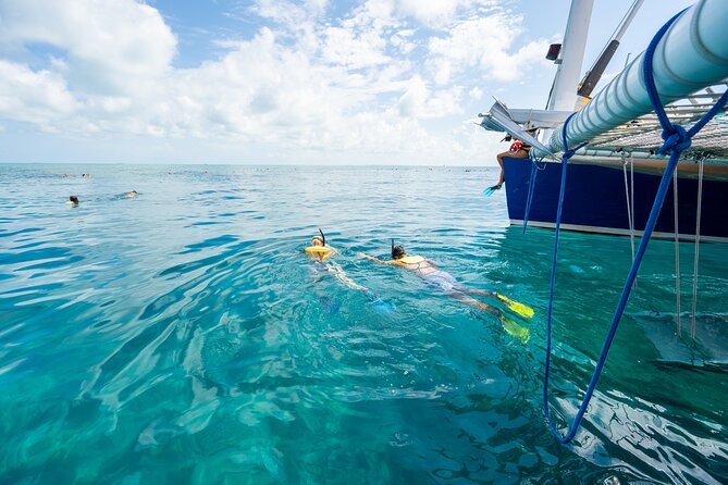 Key West Afternoon Snorkel Sail With Live Music and Cocktails! - Live Music Entertainment