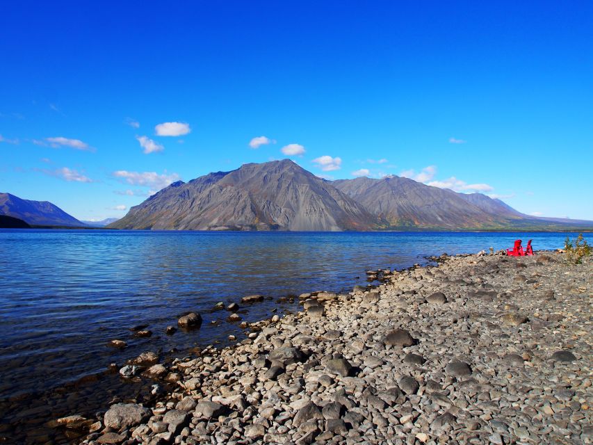 Kluane National Park: Full Day Tour - Sum Up