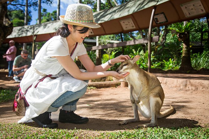 Kuranda By Train, Boat & Skyrail  - Cairns & the Tropical North - Common questions