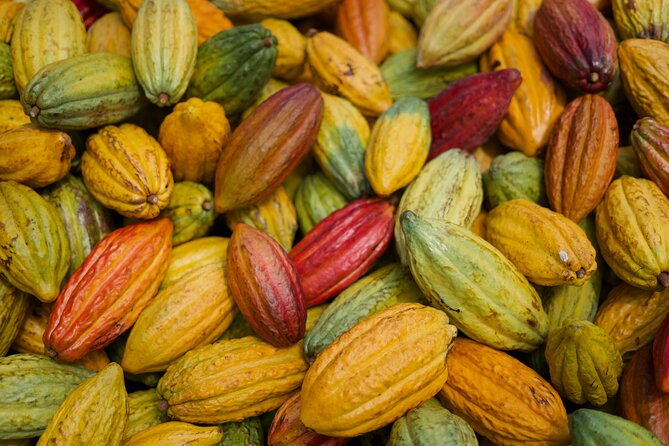 Lahaina: Maui Kuia Estate Guided Cacao Farm Tour and Tasting - Booking and Cancellation Policy Details