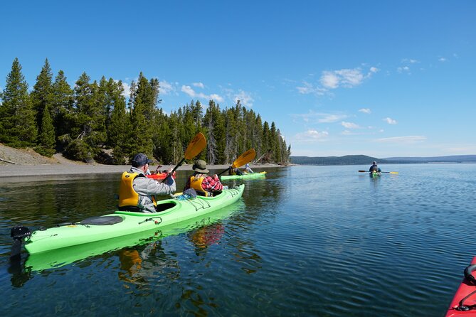 Lake Yellowstone Half Day Kayak Tours Past Geothermal Features - Sum Up