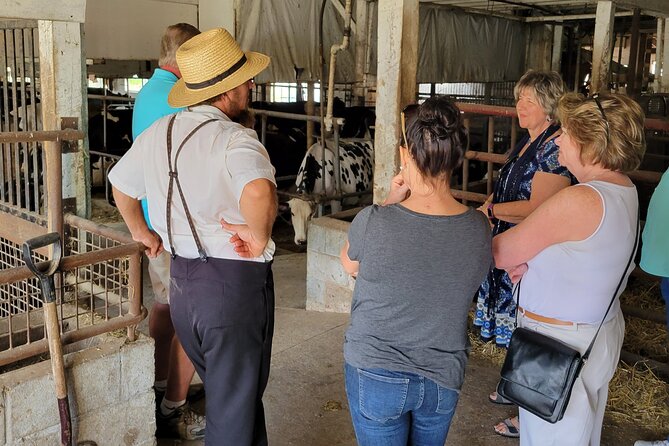 Lancaster County Amish Culture Small-Group Half-Day Tour - Sum Up