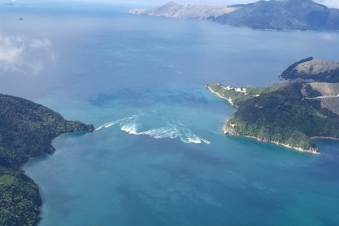 Light Aircraft Tour of the Marlborough Sounds From Picton - Copyright and Terms & Conditions