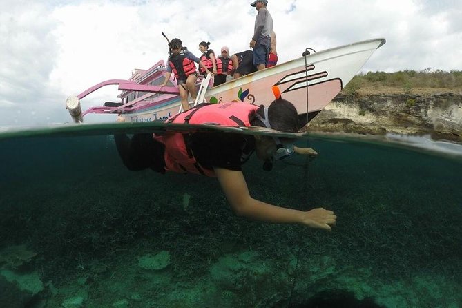Lombok Pink Beach Boat Trip (Full Day Snorkeling) - Booking Information and FAQs