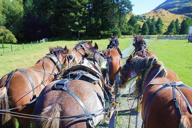 Lord of the Rings High Country Station Pioneering Experience & Scenic Day Tour - Sum Up