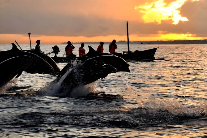 Lovina Dolphin-Watching Tour With Private Transfers and Lunch  - Seminyak - Tour Inclusions