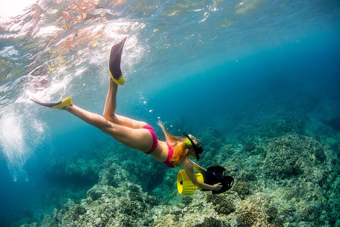 Luxury Kona Coast Snorkel Tour Including Lunch - Additional Details