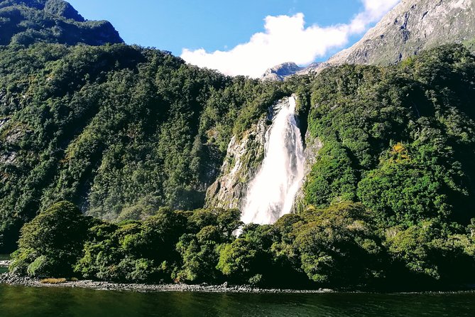 Luxury Milford Sound Coach and Scenic Cruise - Common questions