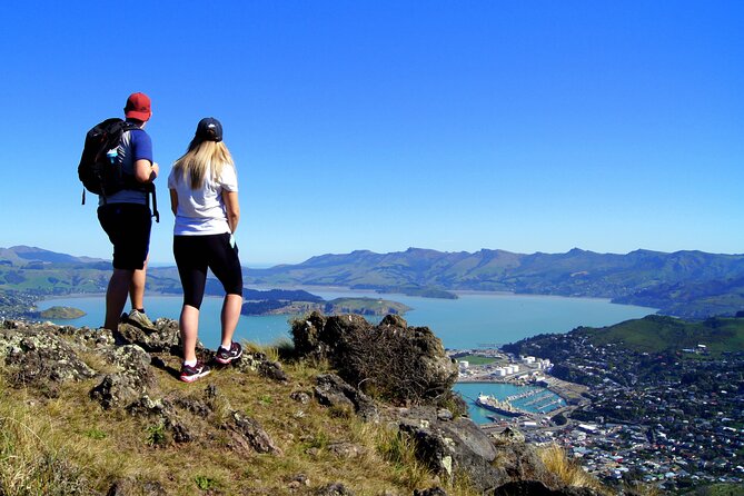 Luxury Private Guided Crater Rim Walk on Banks Peninsula - Common questions