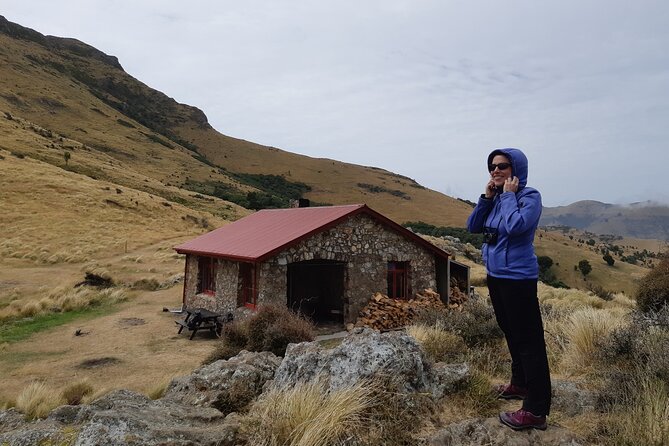 Lyttelton Shore Excursion -Guided Hiking Tour Packhorse Hut - Booking and Contact Information