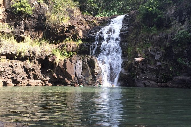 Majestic Circle Island Eco Tour From Waikiki - Customer Recommendations and Tour Costs