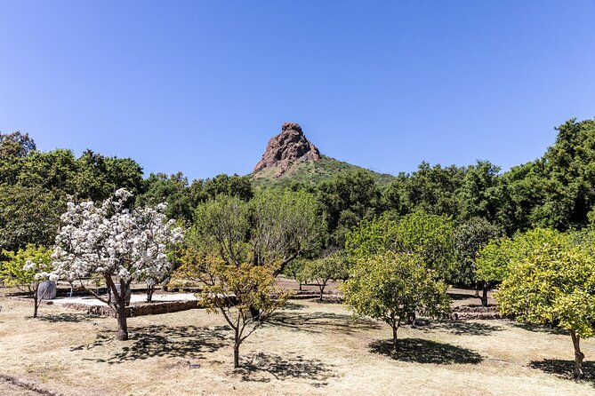 Malibu: Guided Vineyard Hike With Photo Stops and Wine - Participant Highlights