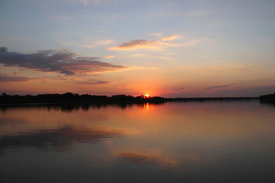 Manaus: Guided Amazon Dolphins Day Trip With Boat and Pickup - Sum Up