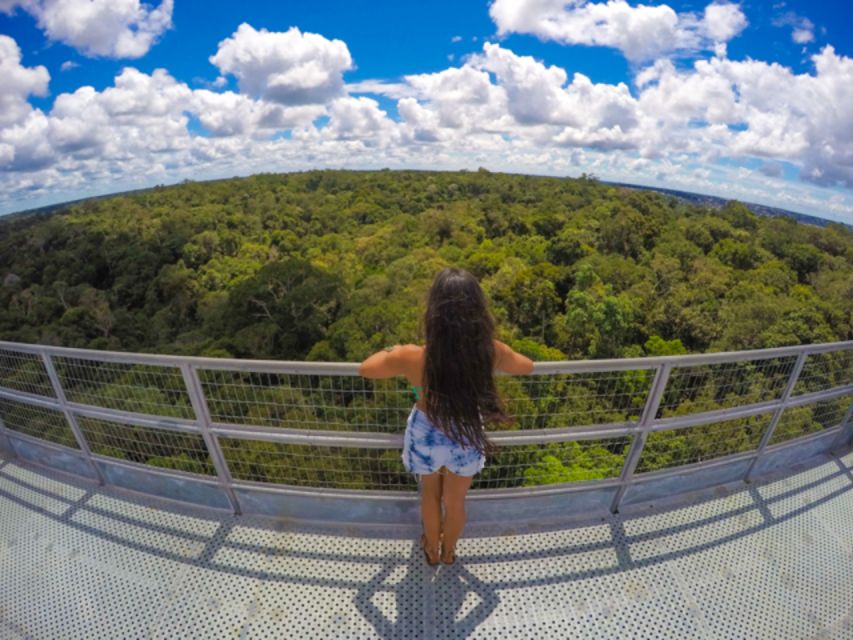 Manaus: MUSA and INPA Museums With Observation Tower Tour - Sum Up