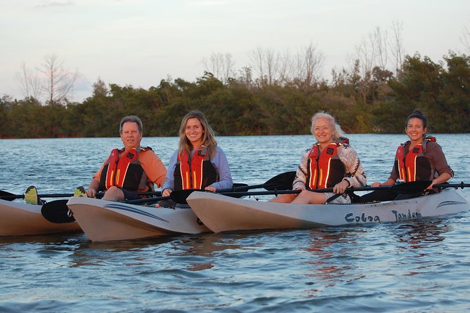 Mangrove Tunnels, Manatee, and Dolphin Sunset Kayak Tour With Fin Expeditions - Sunset Views and Educational Insights