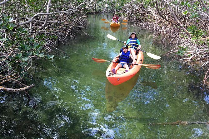 Mangroves and Manatees - Guided Kayak Eco Tour - Common questions
