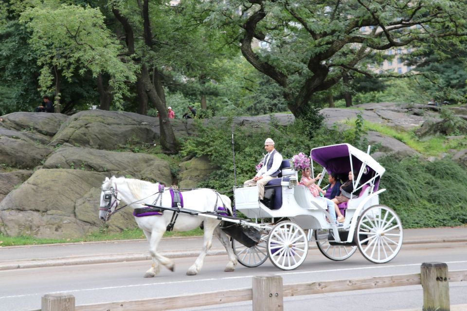 Manhattan: VIP Private Horse Carriage Ride in Central Park - Common questions