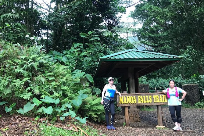 Manoa Waterfalls Hike With Local Guide - Meeting Point and Policies