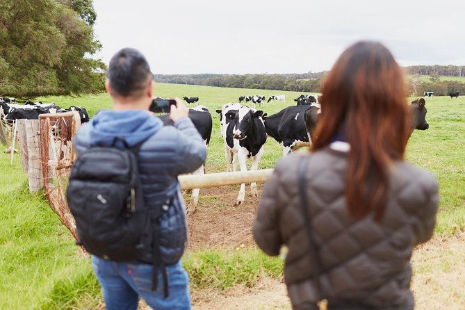 Margaret River Indulge and Discover Day Tour - Tour Inclusions