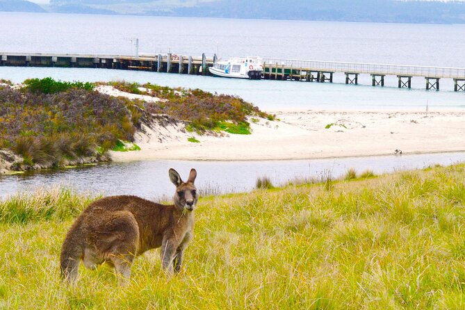 Maria Island Ferry Connection (Hobart to Triabunna Round Trip) - Common questions