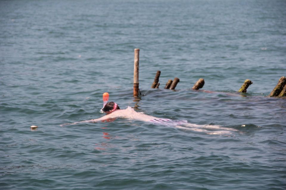 MARINE CONSERVATION INSIGHT by Discovery Center, Kep West - Live Tour Guide