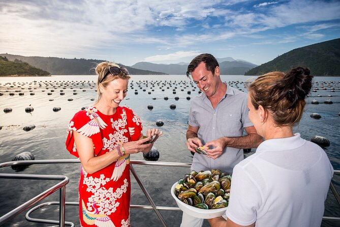 Marlborough Sounds Greenshell Mussel Tasting Cruise - Booking and Departure Procedures